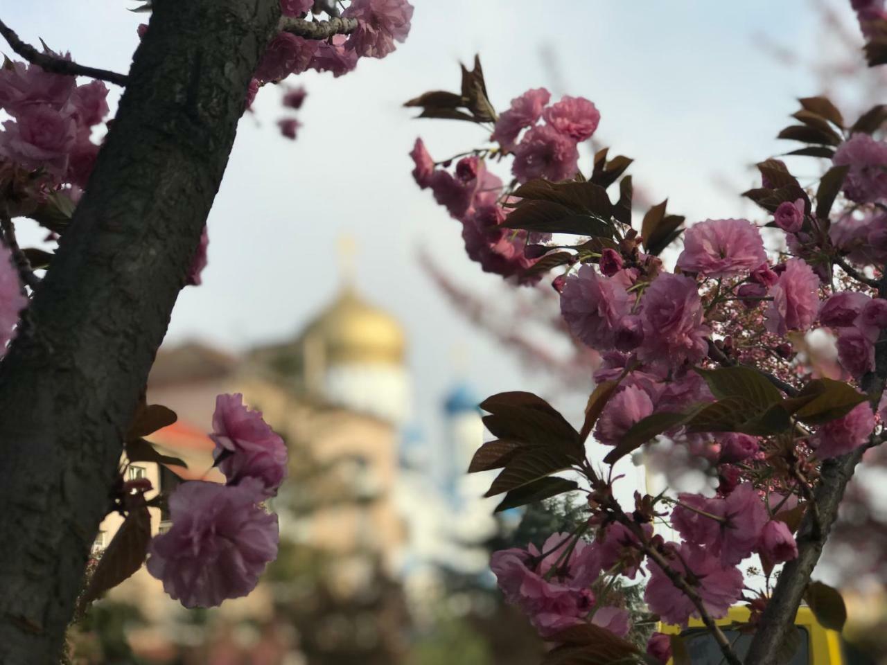 Арт Квартира В Центрі Міста Ужгород Екстер'єр фото