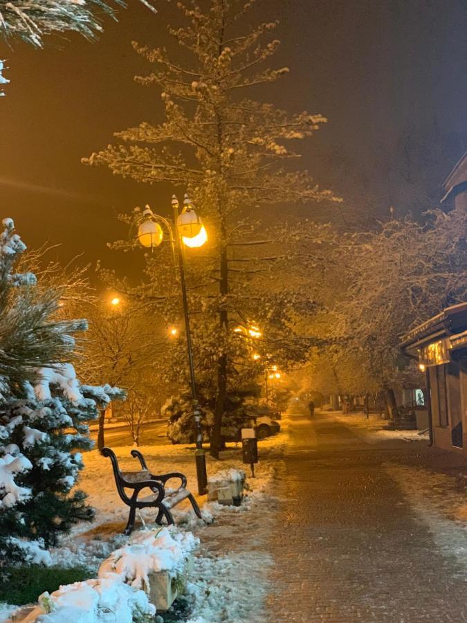 Арт Квартира В Центрі Міста Ужгород Екстер'єр фото